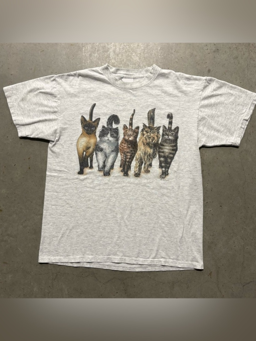 Gildan Light Gray Tee with Walking Cats Graphic